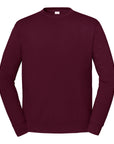 Iconic premium sweatshirt SS441