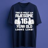 Awesome 16 Year Old T-Shirt – Birthday Gift Tee