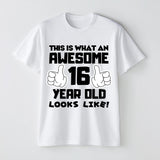 Awesome 16 Year Old T-Shirt – Birthday Gift Tee