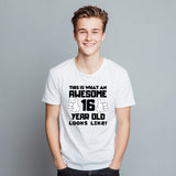 Awesome 16 Year Old T-Shirt – Birthday Gift Tee