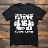 Awesome 16 Year Old T-Shirt – Birthday Gift Tee