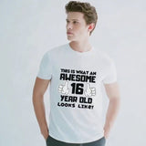 Awesome 16 Year Old T-Shirt – Birthday Gift Tee